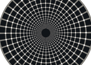 Scintillating Grid Illusion