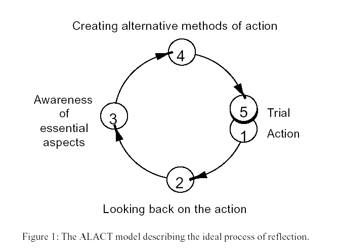 The ALACT model