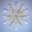 12 sided Snow Crystal