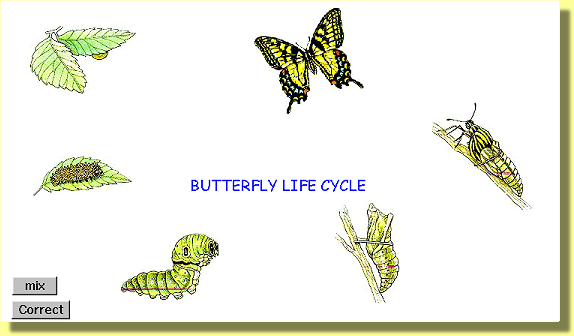 MicroWorlds Project - The Butterfly Life Cycle