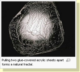 Natural fractal pattern