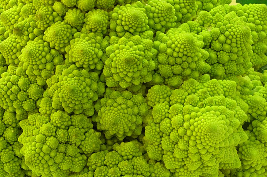 Romanesco 