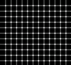 Scintillating grid illusion