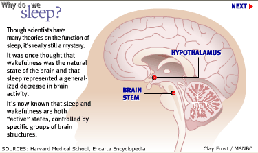 Why do we sleep?