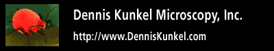 Dennis Kunkel Microscopy, Inc. Education Web Site