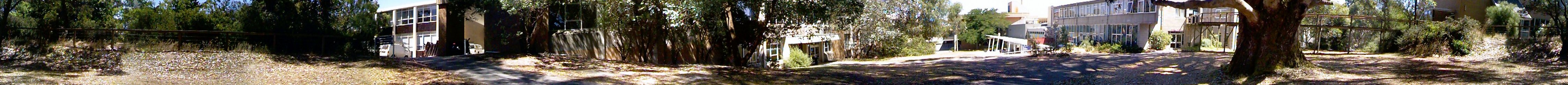 View from the base of the Big Tree University of Ballarat Mt. Helen Campus Jan. 2001