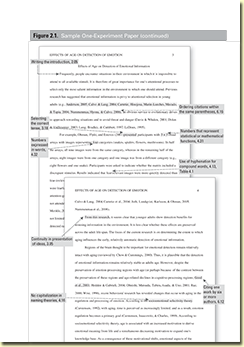 References essay websites
